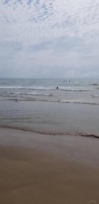 2 Bed 1 Bath Condo By Beach & Entertainment South Padre Island Buitenkant foto